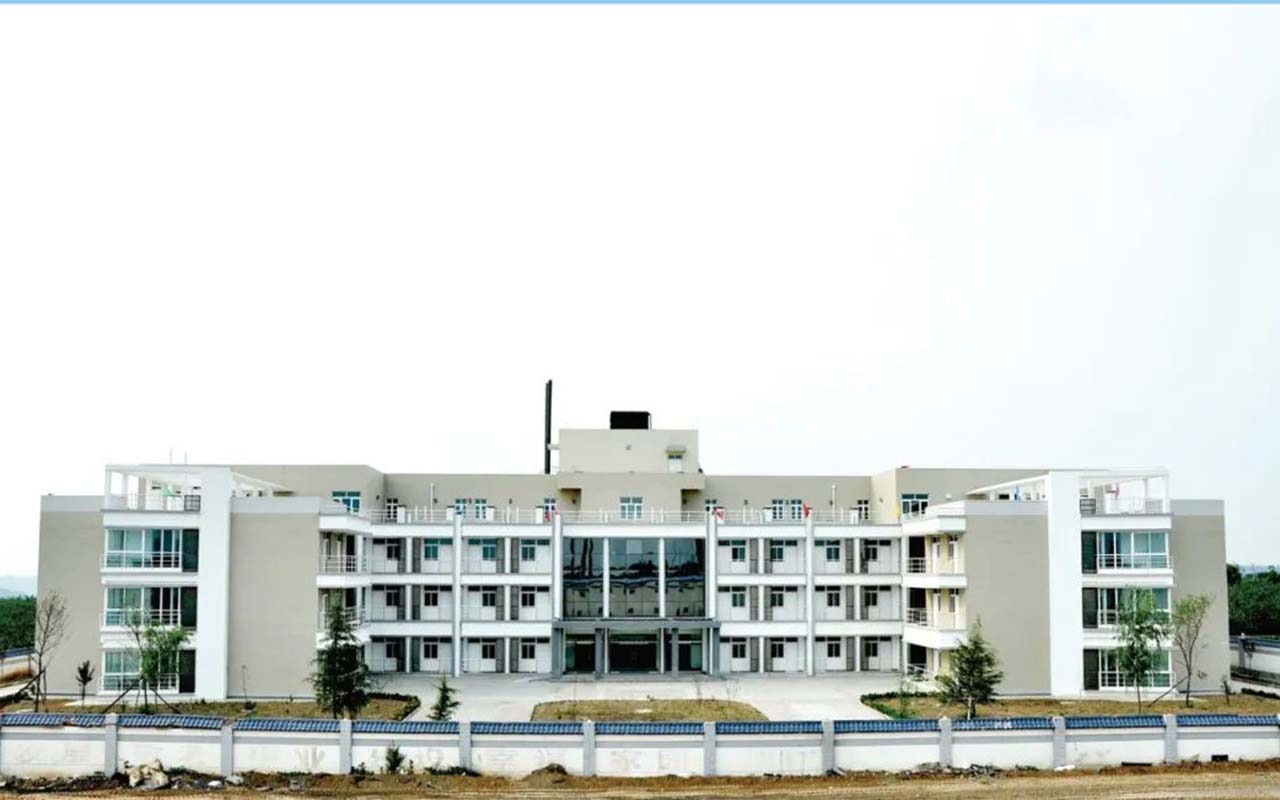 05.jpg